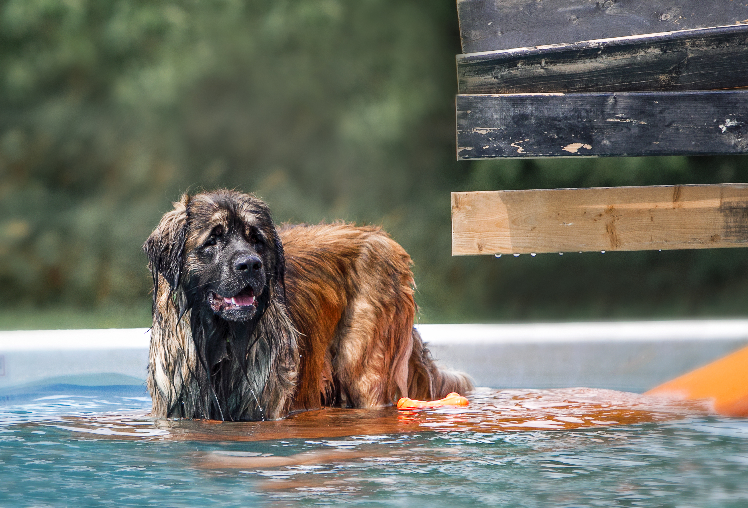 Slideshow sample 15